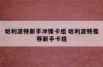 哈利波特新手冲锋卡组 哈利波特推荐新手卡组